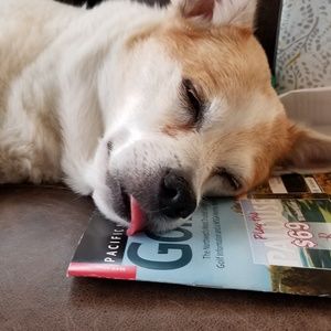 Meet your Posher, David